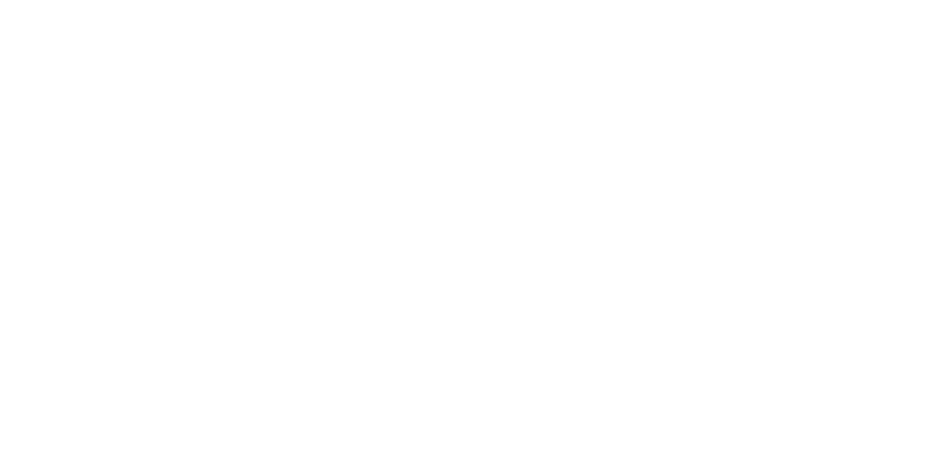 Miami Freedom Park Partners: Levi's